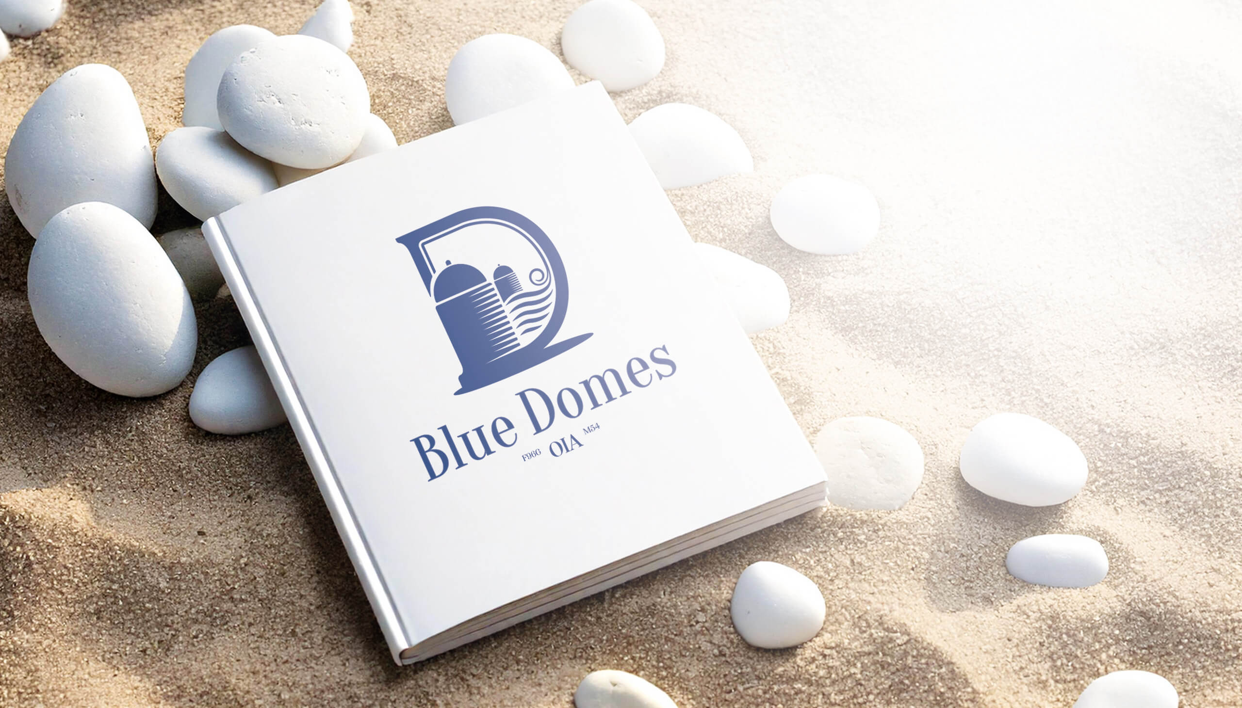 blue-domes-logo-design-loftdart.jpg